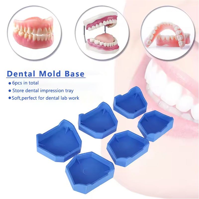 2/6Pcs Dental Model Base Silic - Teeth Whitening Tray 评论和价格