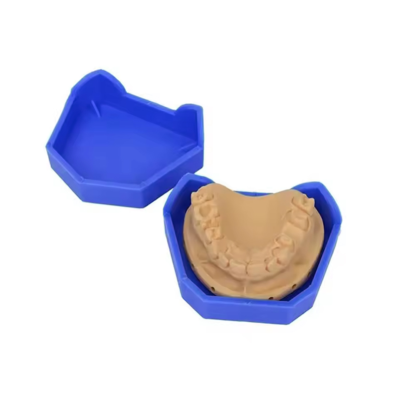 2/6Pcs Dental Model Base Silic - Teeth Whitening Tray 评论和价格
