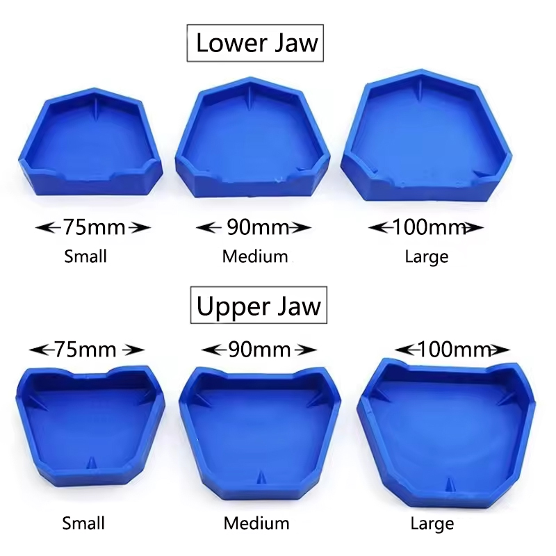 2/6Pcs Dental Model Base Silic - Teeth Whitening Tray 评论和价格