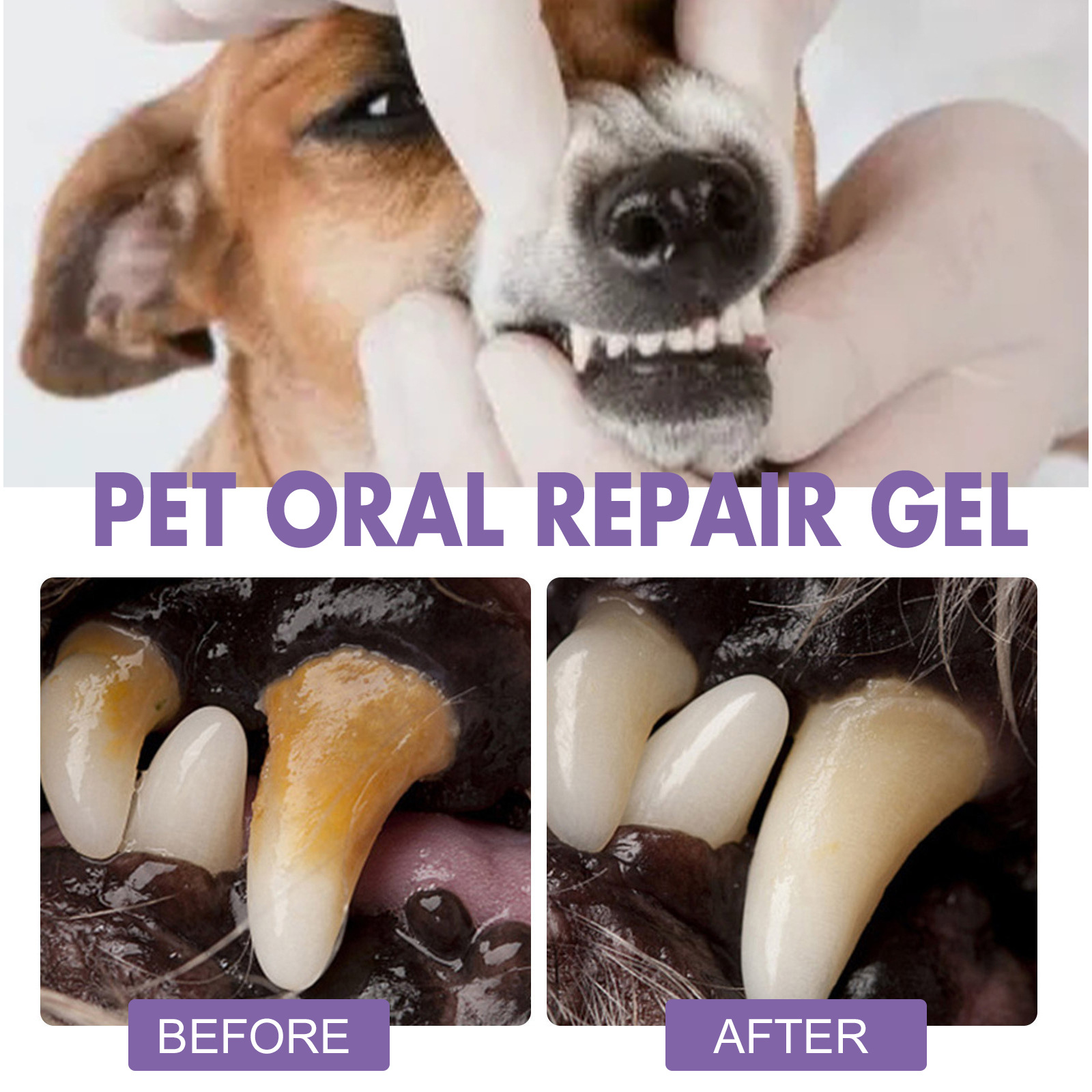 Pet Oral Repair Gel Puppy Tart - Teeth Whitening Paste 评论和价格