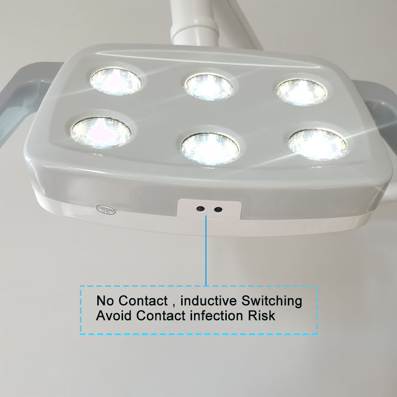 6LED Dental LED Lamp Oral Ligh - Teeth Whitening With Light 评论和价格