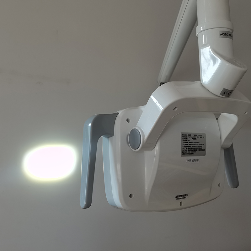 6LED Dental LED Lamp Oral Ligh - Teeth Whitening With Light 评论和价格